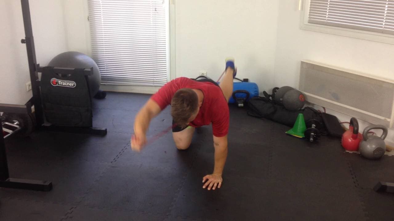 Développez votre force avec le Bird Dog et Powerband