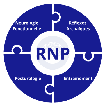 Équilibre en question : L’impact des surfaces instables sur la stabilométrie des athlètes lors de l’échauffement