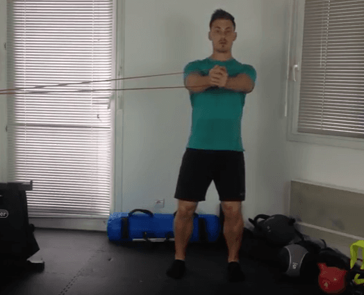 VARIATIONS PALLOF-PRESS AVEC DISQUE